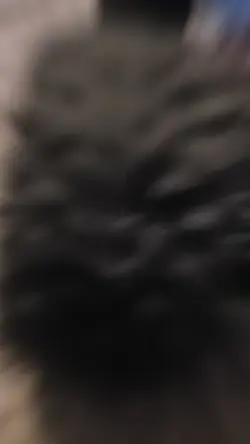 clean rc edit
