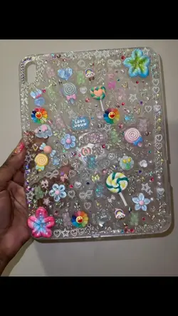 iPad junk case
