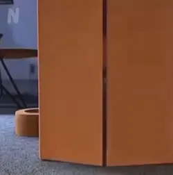 Cocky walk