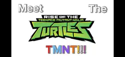 Meet the turtles :)