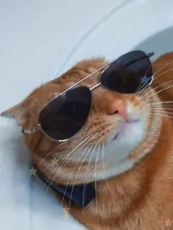 KITTUH
