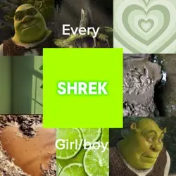Shrek + Donkey 🫏💚