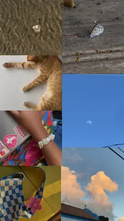 colagem 7 vídeos 