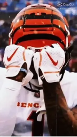 Bengals edit 