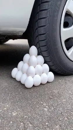 Egg
