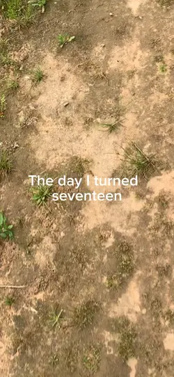 Seventeen