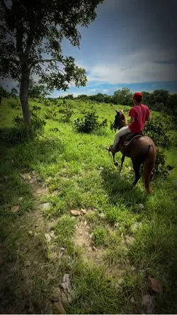 Meu mundo 