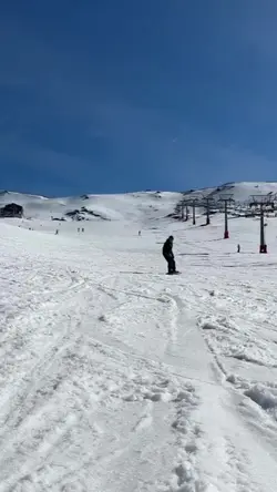 Tiktok trend