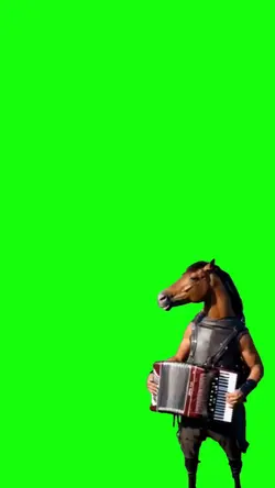 cavalo na sanfona 