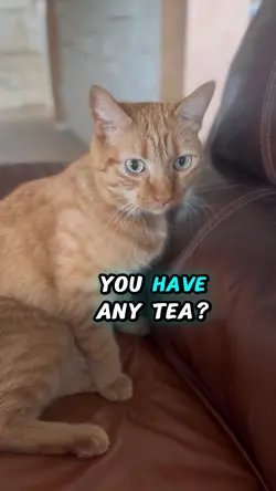 Anyone want tea? 😜