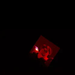 Crimson Awakening
