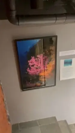 Galeria de arte