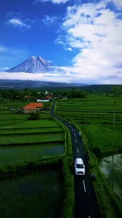 20 videos photos
