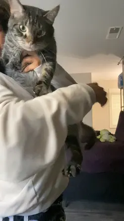 My catt🥰🥰🥰