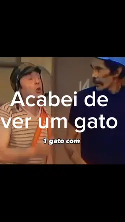 Um gato na tela 