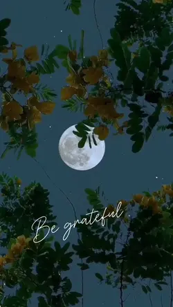 Be grateful / oceans