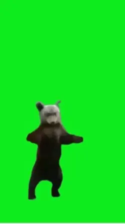 Funny bear 🐻 