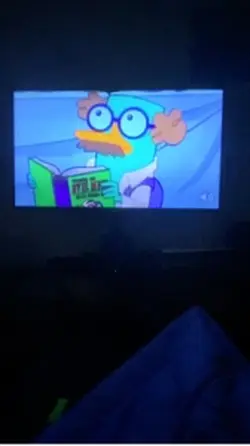 PERRY THE PLATYPUS🫵😨