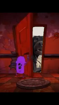 Door Surprise