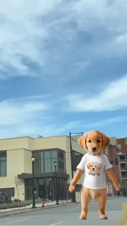 dancing dog 