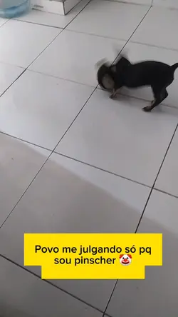 Pincher 