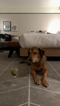 Hotel Vlog