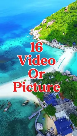 16 video or picture 