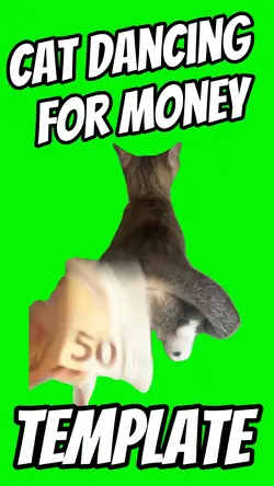 Cat Dancing