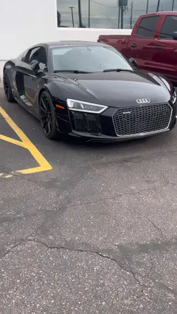you IN or AUDI?🕷️