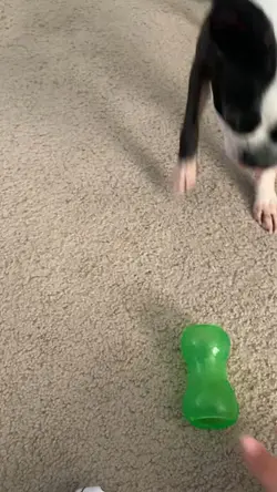 NEW TRICK ? 😨