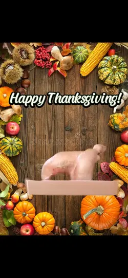 Thanksgiving Time!