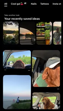 my photo album