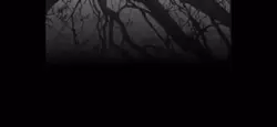 FNF Song