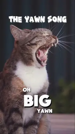 Pet Yawn Song