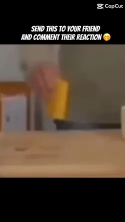🧀 