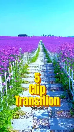 5 clip transition 