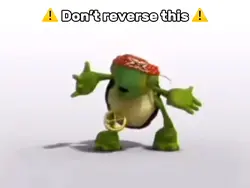 Turtle Meme