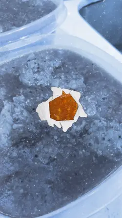 Bếp nhà