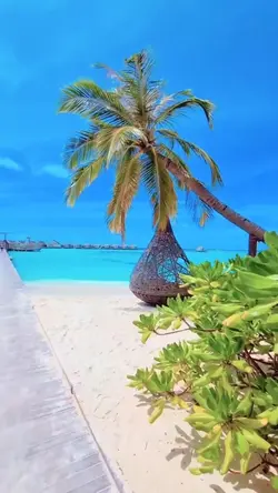 11 clips Mini Vlog 