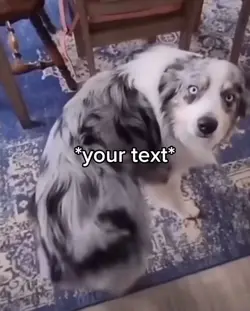 Doggy GYAT