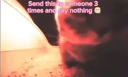 Cat Spittin Fire 🔥 