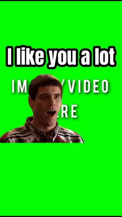I Like You A Lot
