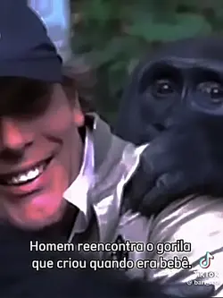 animais sendo fofos
