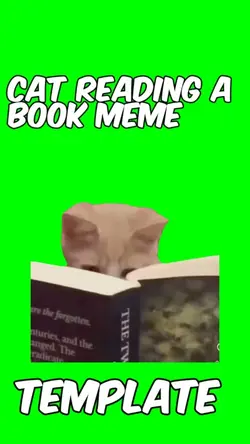 Cat reading book