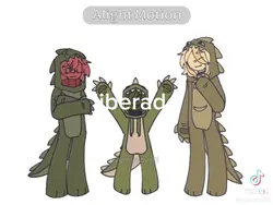 mundo do torajo