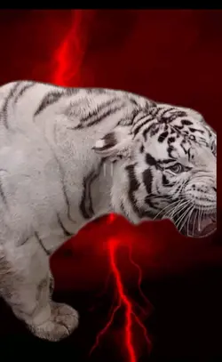 WHITE TIGER 