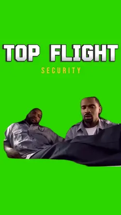 Top Flight Security