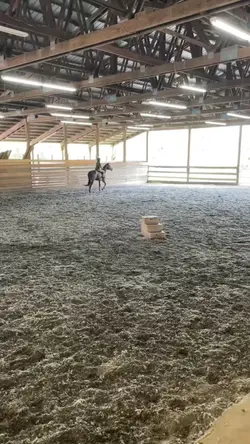 new barn vibes