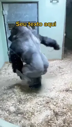Dançando 