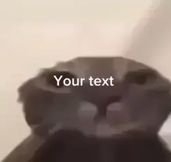 Sad Cat 
